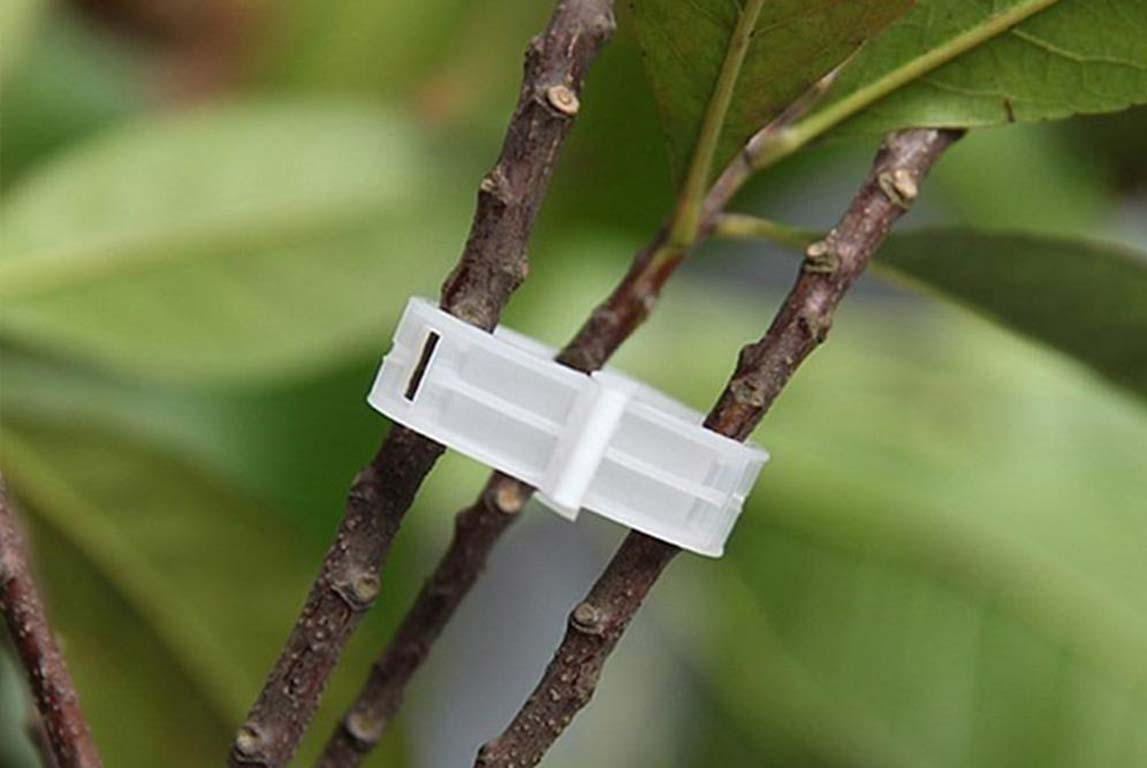 Plant Clips