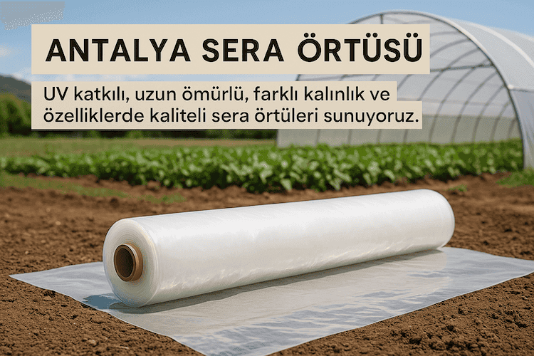 Sera Örtüsü
